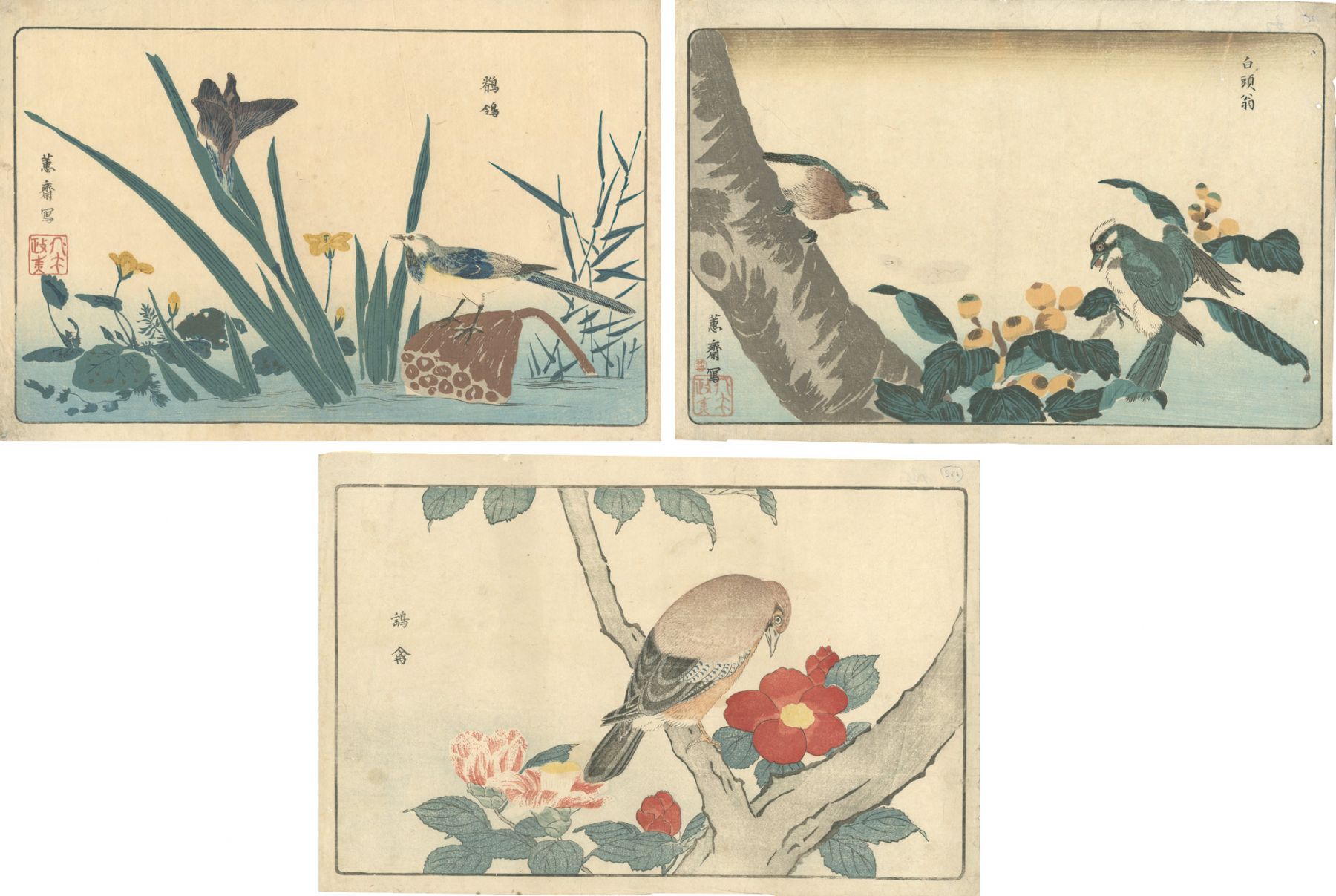 北尾政美「来禽図彙」 | 山田書店美術部オンラインストア