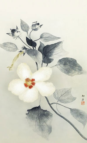 有名作家の掛け軸 速水御舟作 白芙蓉