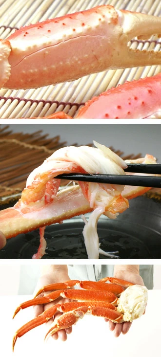 上ボイルズワイガニ（ずわいがに足）5L4肩 オホーツク マガダン海域産