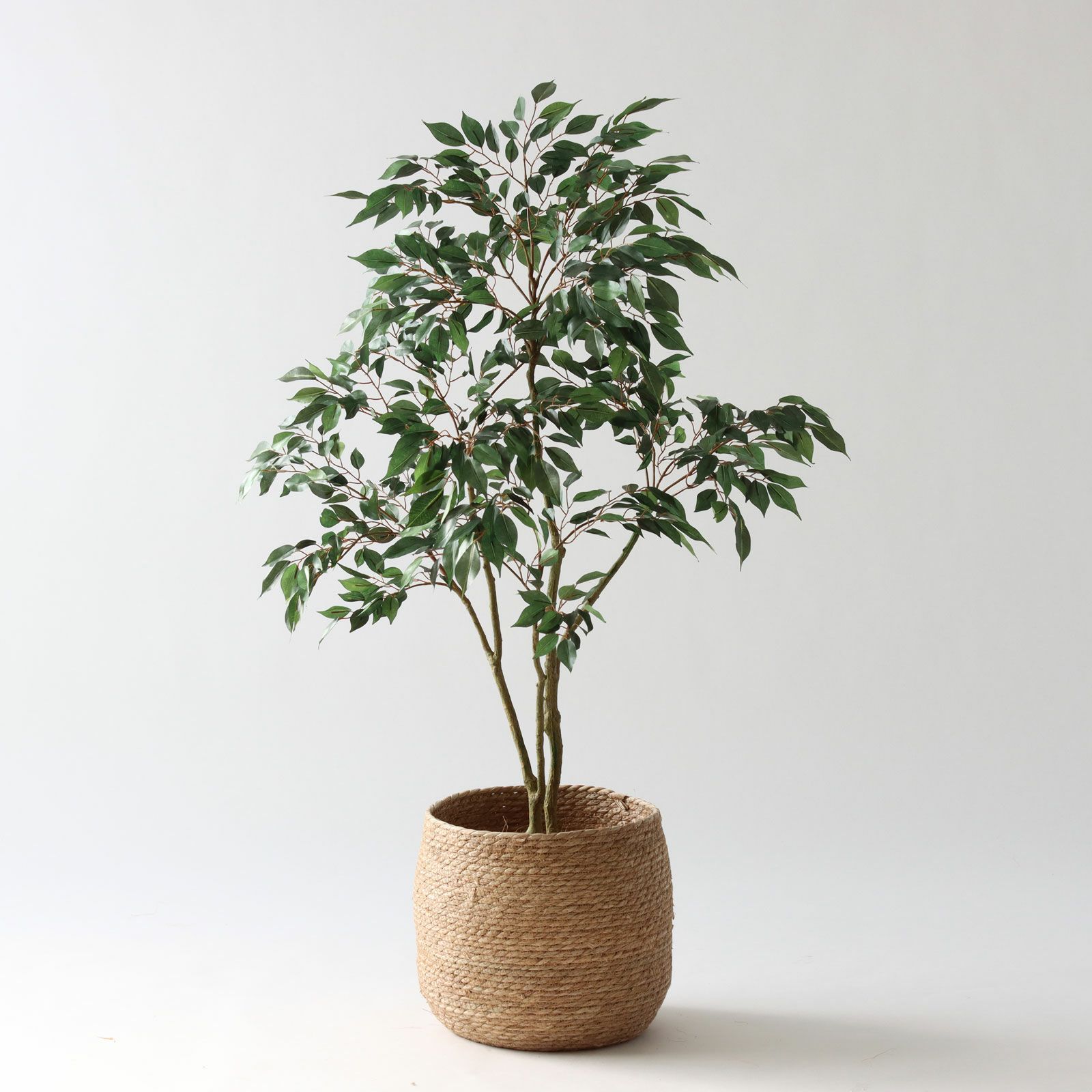 コーヒーの木 | プレミアム光触媒フェイクグリーン 造花ドットコム