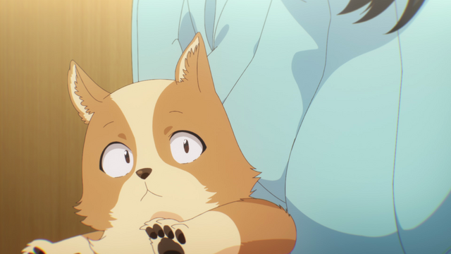 犬になったら好きな人に拾われた。」23年1月スタート！梅田修一朗