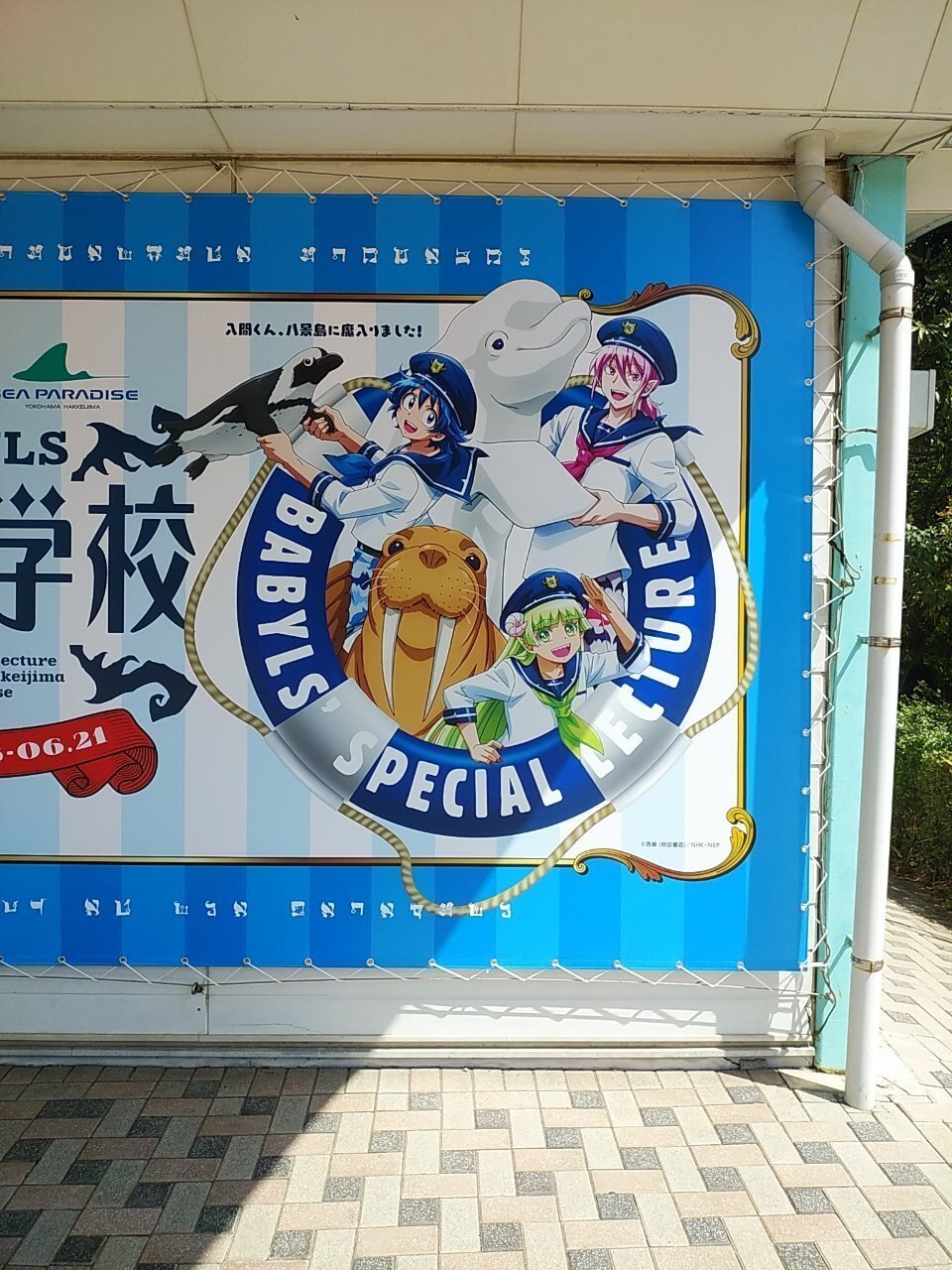 八景島シーパラダイス×魔入りました！入間くん コラボ楽しかったよレポ