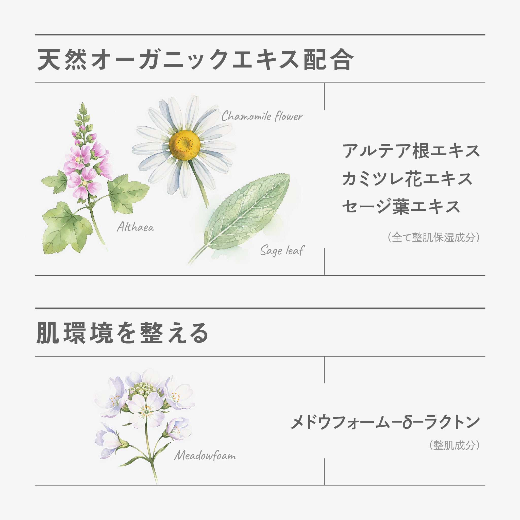 BF マイルドUVゲル｜better future® – 【公式】better future