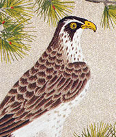 東京文化刺繍キット 鷹 モチーフ