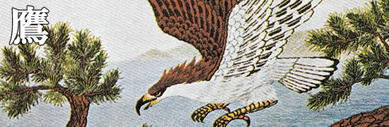 東京文化刺繍キット 鷹 モチーフ