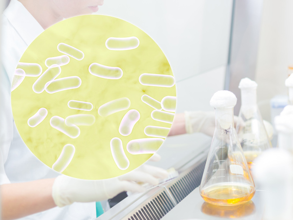 マテリア リフレ｜乳酸菌代謝物質を用いたマテリアなら日本ネオライズ