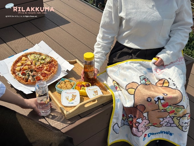 ブランケット・フードコンテナ・クリアボトル付き！ドミノ・ピザ