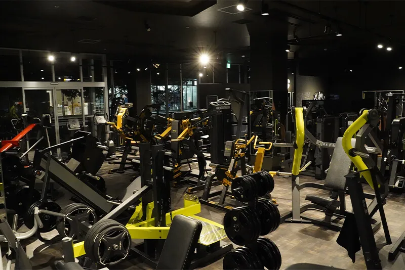 evpr-181 | EVOLGEAR（エヴォルギア）