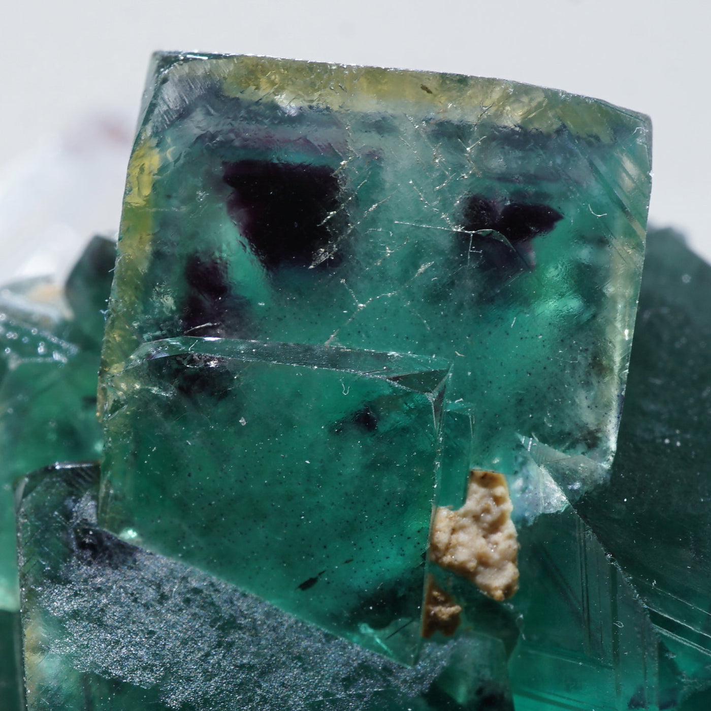 ナミビア Okorusu産 フローライト – 天然石ハッピーギフト