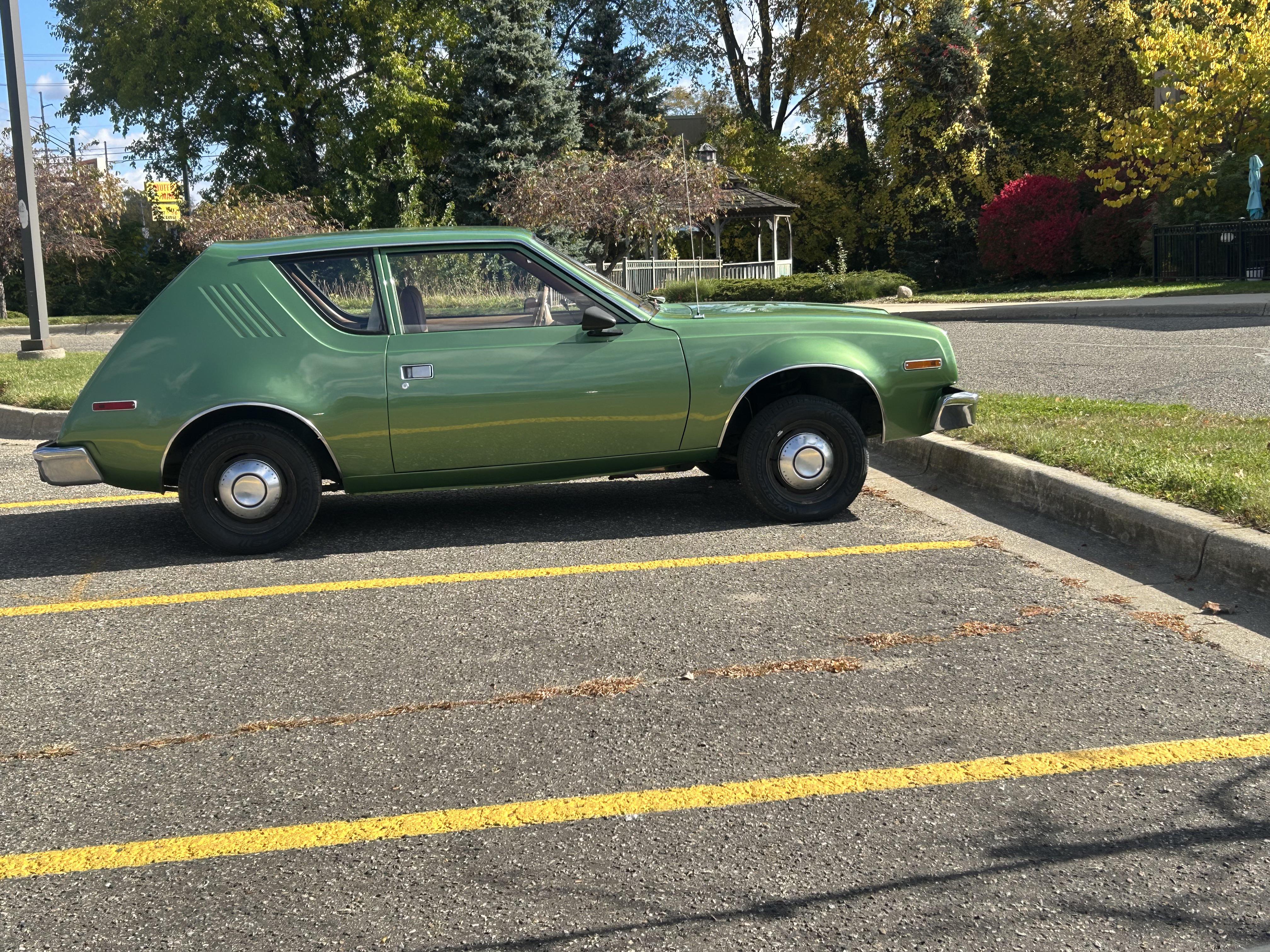 A mint Gremlin seen in the wild : r/kzoo