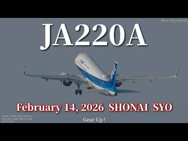 JA220A ANA398 Airbus A320neo Valentine's day February 14, 2026
