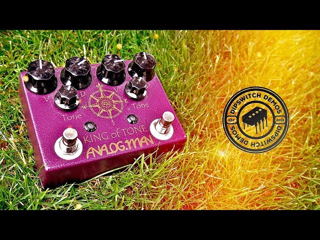 Analogman King of Tone (Demo) - YouTube