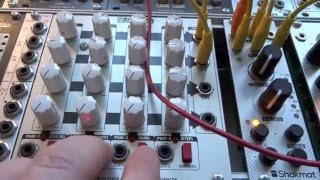 Shakmat White Gallop - Eurorack Module on ModularGrid