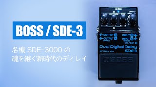 The Legacy of the Legendary SDE-3000 in a Modern Digital Delay