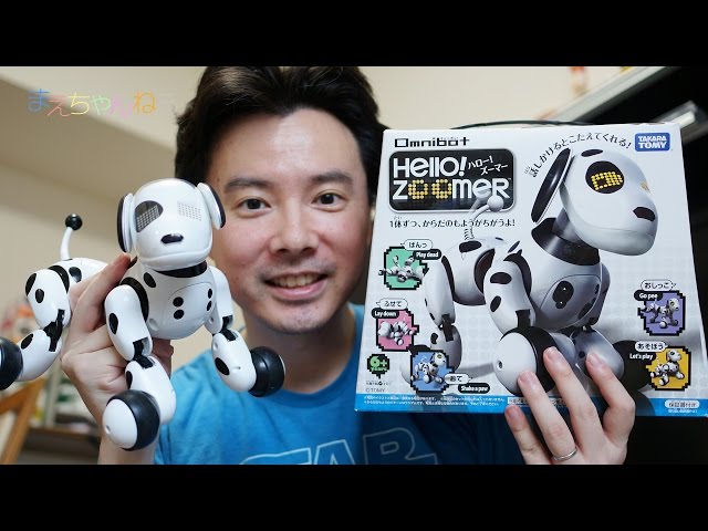 Super cute and moving dog robot Hello! Zoomer Omnibot - YouTube
