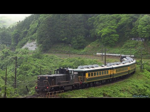 九州上陸！】サロンカーみずほ ～雨の冷水峠へ～ 2025.5.17【サロン