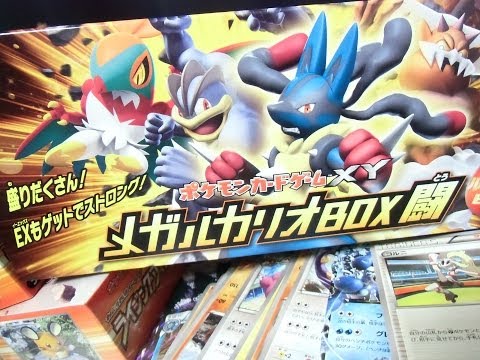 Pokémon Card Game XY 