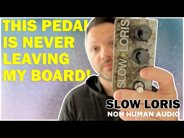 The SLOW LORIS Has Arrived! Non Human Audio Slapback Delay - YouTube