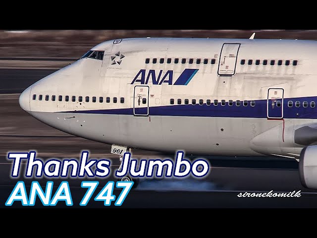 Thanks Jumbo | ANA All Nippon Airways Boeing 747-400(D) Memorial