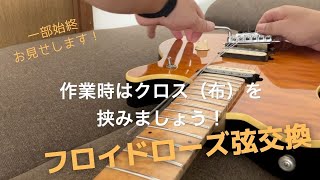 フロイトローズタイプ FERNANDES アクティブ回路 アーム付 新品弦張替