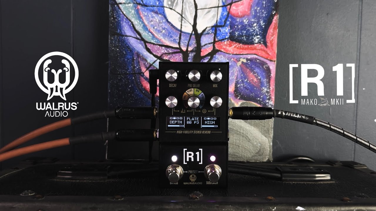 IN-DEPTH Walrus Audio R1 MKII Reverb Demo - YouTube