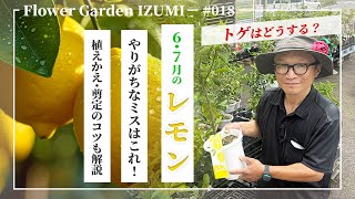 The basics of lemon cultivation in June and July! Easy-to