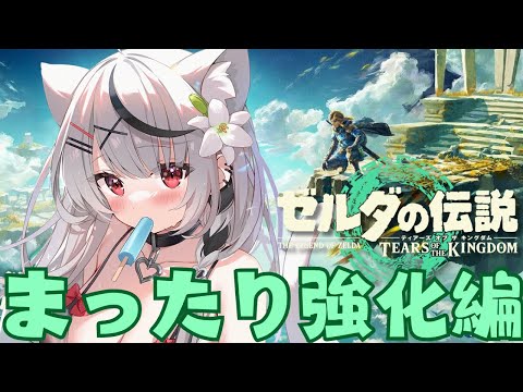 ティアキン 】ラスボス前に強化間に合わせるぞ～～～！！！の回 ゼルダ