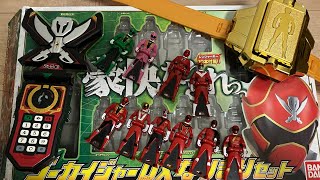 派手に行くぜ】ゴーカイジャーDXなりきりセットモバイレーツ，ゴーカイ