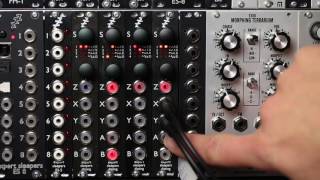 Expert Sleepers ES-3 mk4 - Eurorack Module on ModularGrid