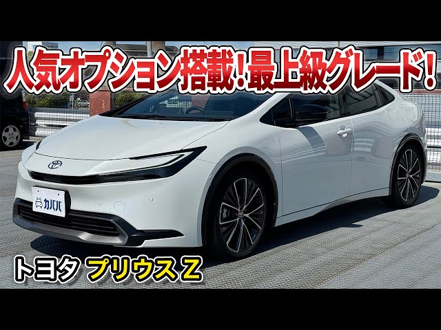 希少 EBBRO トヨタ プリウス ムーンルーフ 黒 希少 EBBRO トヨタ