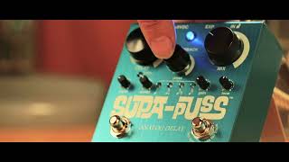 Way Huge Supa-Puss Analog Delay Pedal with Tap Tempo | Sweetwater