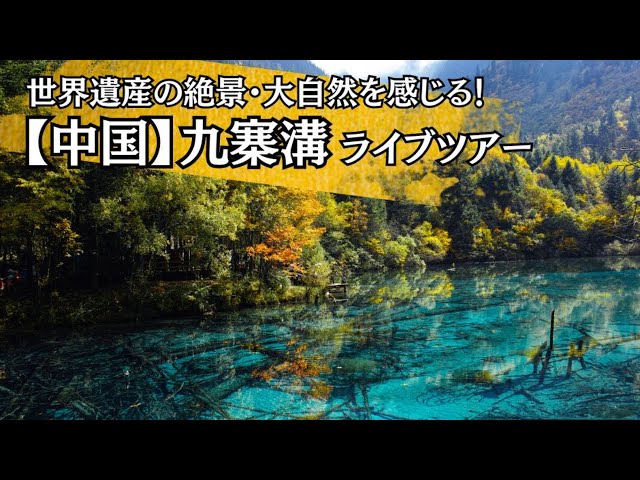 sddefault.jpg?v=66336159