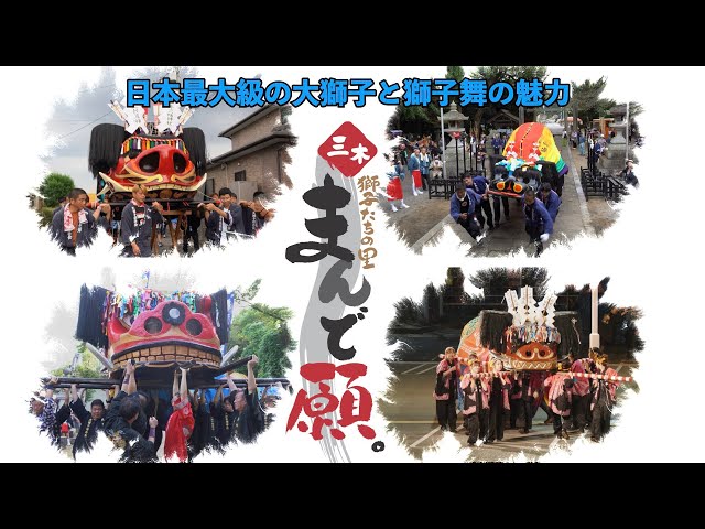 獅子たちの里 三木まんで願。」秋大祭2025 大獅子と獅子舞の魅了を紹介