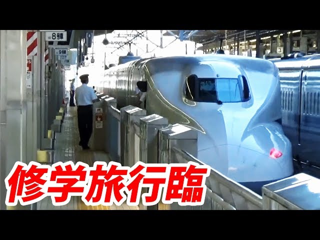 I encountered a school trip bullet train - YouTube