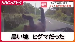Moment of collision] A brown bear jumped out in front of a car