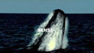 Mr.Children - SENSE (16th album 2010.12.1) CM 30s - YouTube