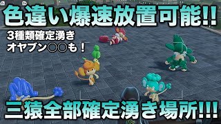 Three Shiny Wise Monkeys!!] Yanpu, Boomstick, and Hypnotize