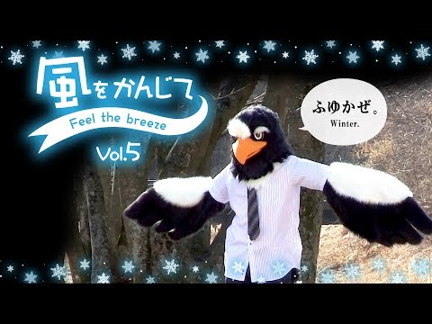 着ぐるみ鳥【疲れたあなたに】風をかんじて Vol.5【自作 Fursuit bird