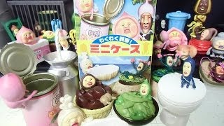 Kobito Zukan Exciting Observation! Mini Case FINAL Toy Review