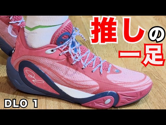 DLO 1 ~A pair of shoes unlike any of the 15 Li-Ning models I've