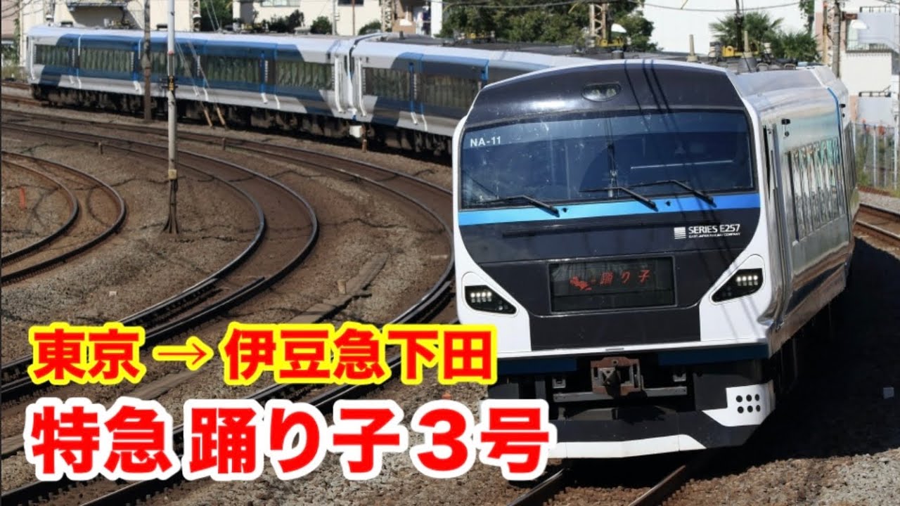 東京→伊豆急下田】特急踊り子3号に乗った！ - YouTube