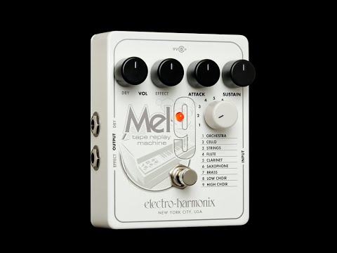 日本語字幕】Electro Harmonix MEL9 Tape Replay Machine EHX Pedal