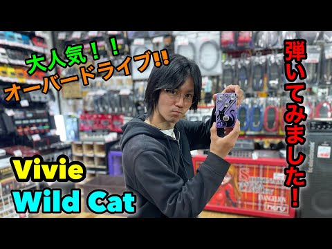 大人気オーバードライブペダルVivie Wild Cat!! 弾いてみました! - YouTube