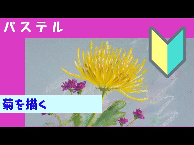 初心者向け パステルで菊を描く pastel】 - YouTube