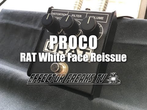 試奏動画】Proco（プロコ） RAT（ラット） White Face Reissue 85年製