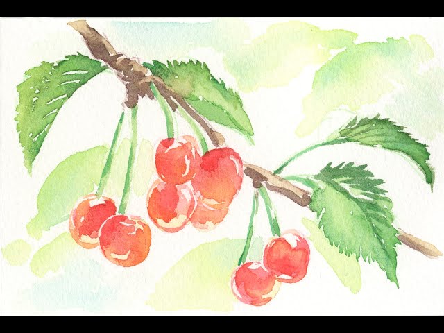 初夏の絵葉書シリーズ 〜さくらんぼ編〜 - YouTube