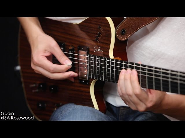 Godin / xtSA Rosewood【デジマート製品レビュー】 - YouTube