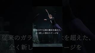 ジュリアン・マッケイ&フレンズ バレエ・ガラ アート・オブ・ダンス