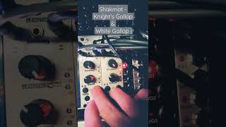 Shakmat White Gallop - Eurorack Module on ModularGrid