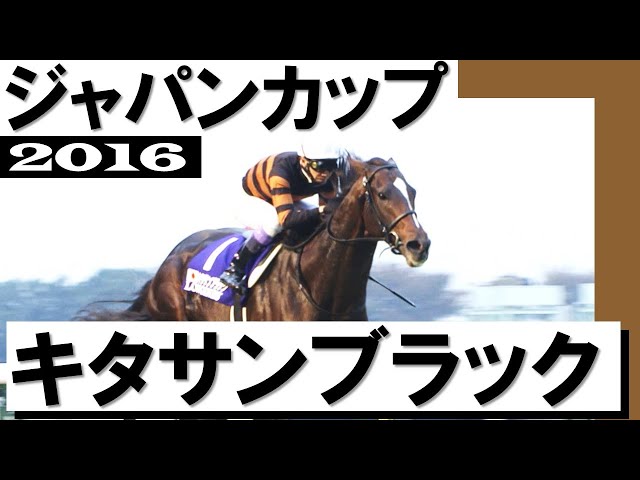 第36回 ジャパンカップ 全馬単勝馬券 キタサンブラック JRA